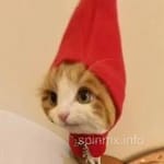 Avatar de Mauricio Calderón